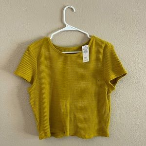 Mustard American Eagle top
